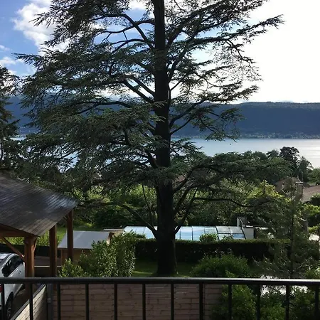 Charmant T2 Vue Lac Veyrier Du Lac / Annecy Exterior foto